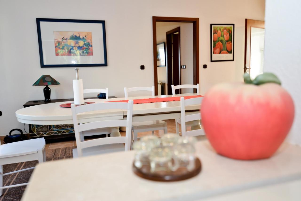 Apartmani Vidikovac Dokoza Zadar Zewnętrze zdjęcie
